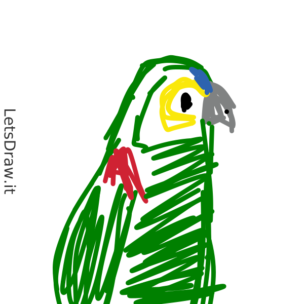 Parrot Draw Computer How to draw parrot / opotnhm47.png / LetsDrawIt