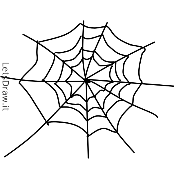 How To Draw Spiderweb   Oqgycxixn.png   Letsdrawit