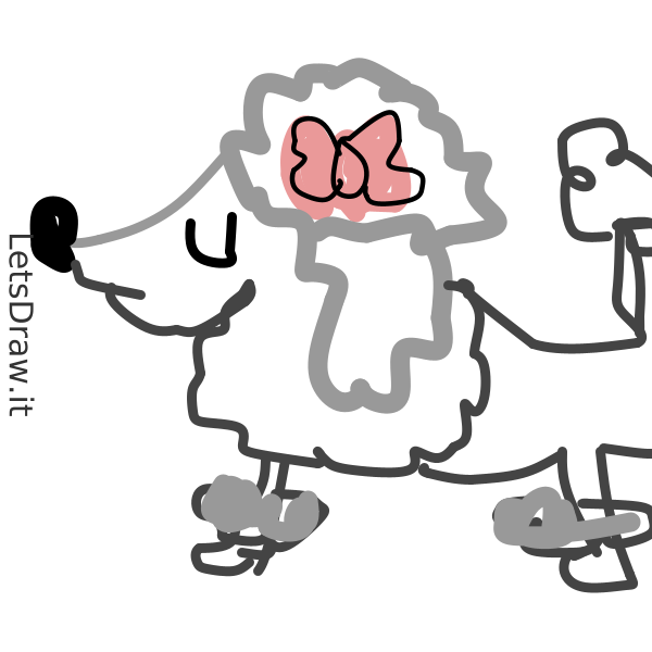 How to draw poodle / oy9bgigss.png / LetsDrawIt