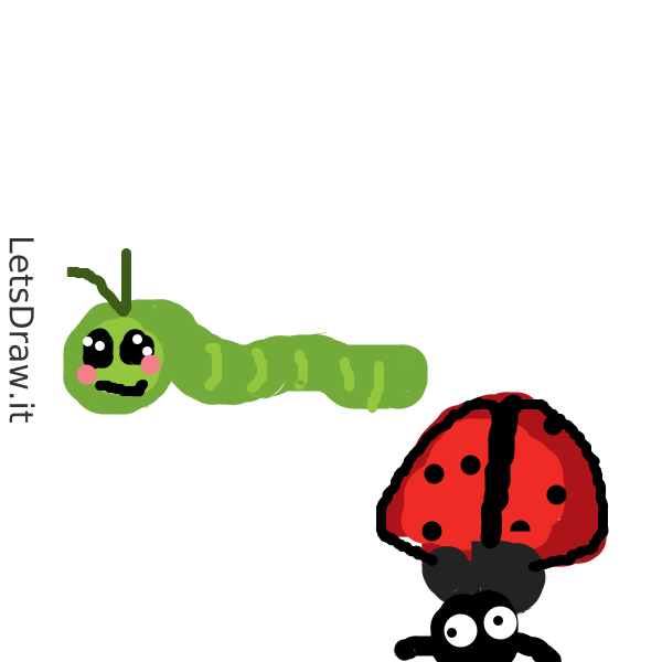 How to draw Bugs / p1xtqmgp6.png / LetsDrawIt
