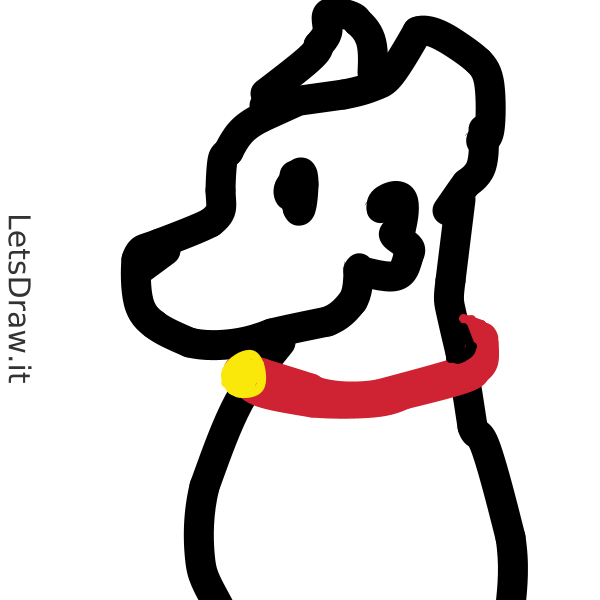 How to draw dog collar / p7t5ak15.png / LetsDrawIt