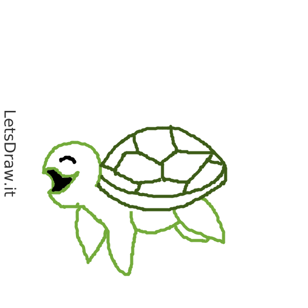 How to draw turtles / pd3aom81g.png / LetsDrawIt