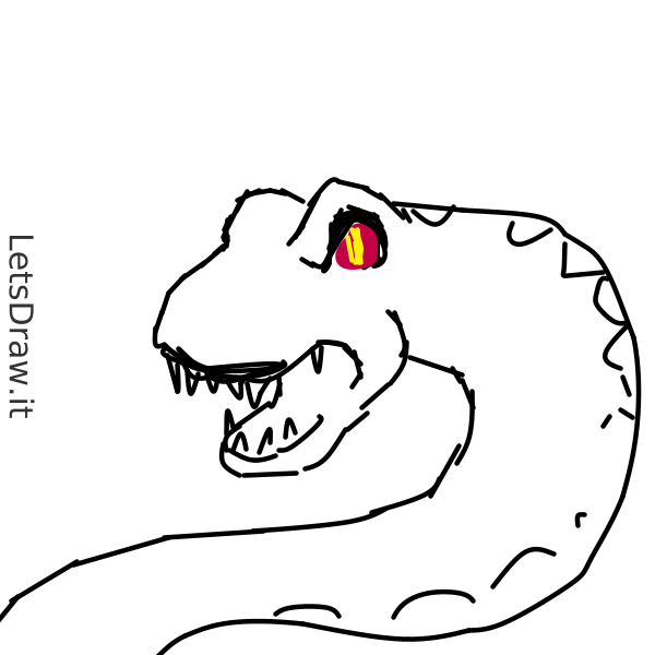 How to draw anaconda / pg41ckhhq.png / LetsDrawIt