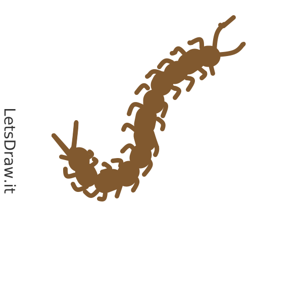 How to draw centipede / phpymirc.png / LetsDrawIt