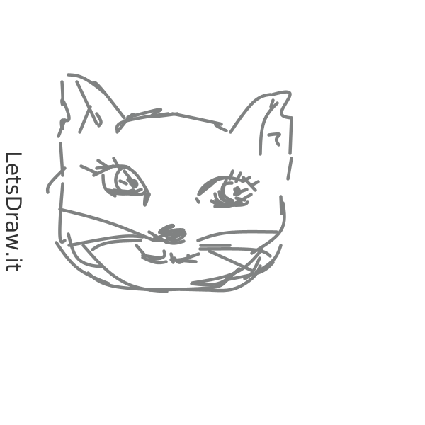 How To Draw Cats Po8gs49fpng Letsdrawit 