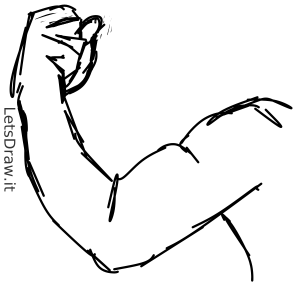 How to draw elbow / pp81u79y.png / LetsDrawIt