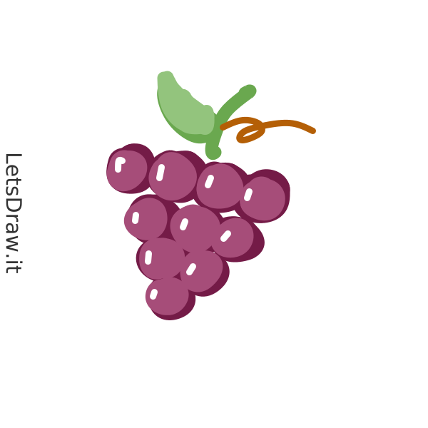 How to draw Grape / q87fgb9oi.png / LetsDrawIt