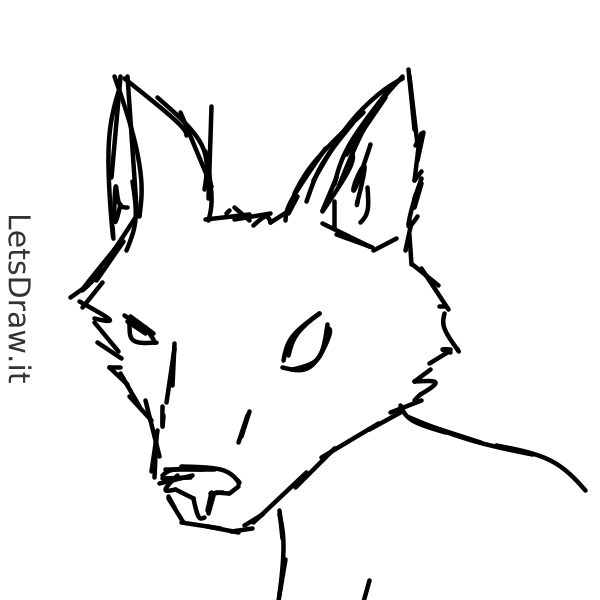 How to draw Wolf / qa3frtpok.png / LetsDrawIt