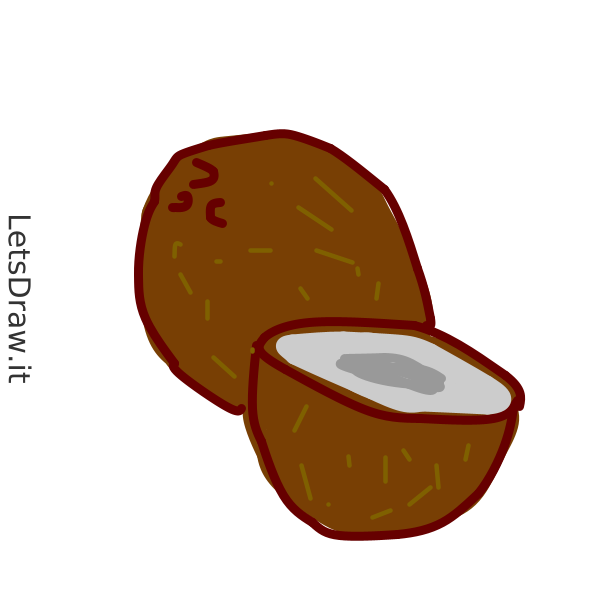 How to draw coconut / qdw18krx6.png / LetsDrawIt