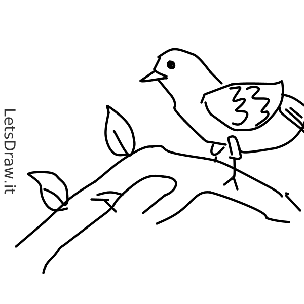 How to draw Birds / qk5onzmti.png / LetsDrawIt