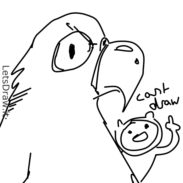Parrot Draw Computer How to draw parrot / qk9wbjhog.png / LetsDrawIt