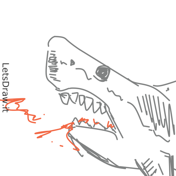 How to draw shark / qkrgdd9p4.png / LetsDrawIt