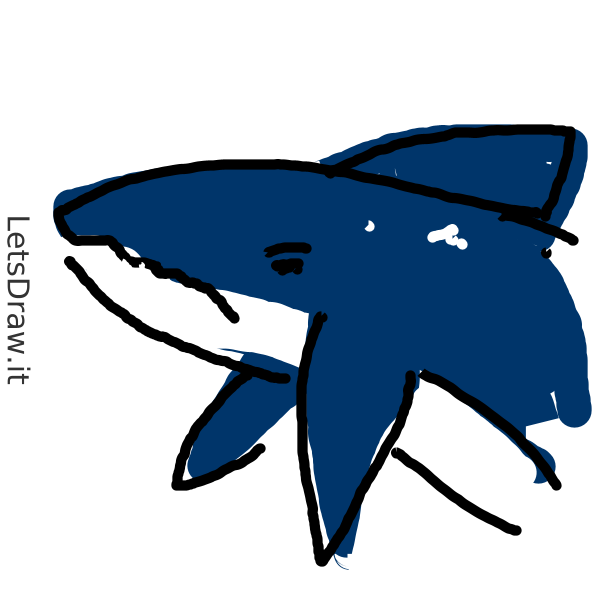 How to draw Sharks / qn8xpsk7w.png / LetsDrawIt