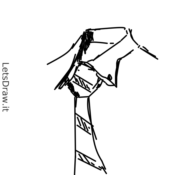 How To Draw Necktie Qubcmeeqf Png LetsDrawIt   Qubcmeeqf 