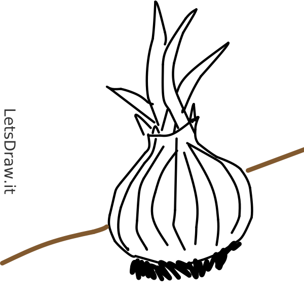 Single one line drawing onion. Vegetable concept. Continuous line draw  design graphic vector illustration. 20534949 Vector Art at Vecteezy