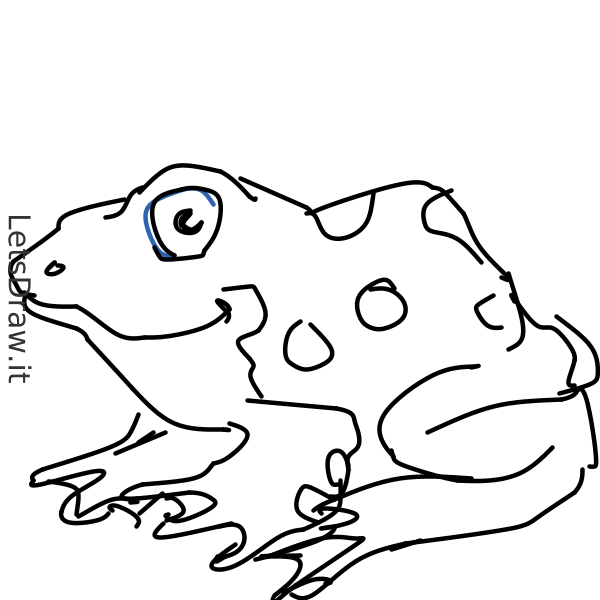 How to draw frog / rb9gbokuc.png / LetsDrawIt