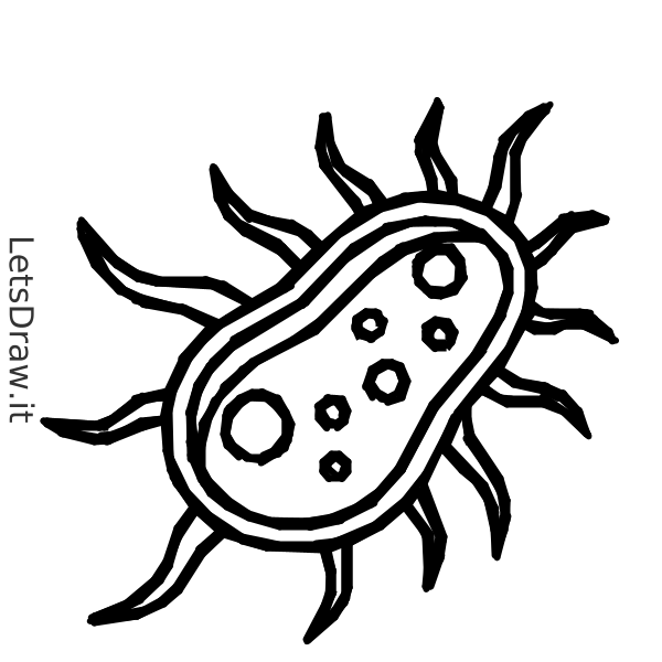 How to draw bacteria / rm9wofjm4.png / LetsDrawIt