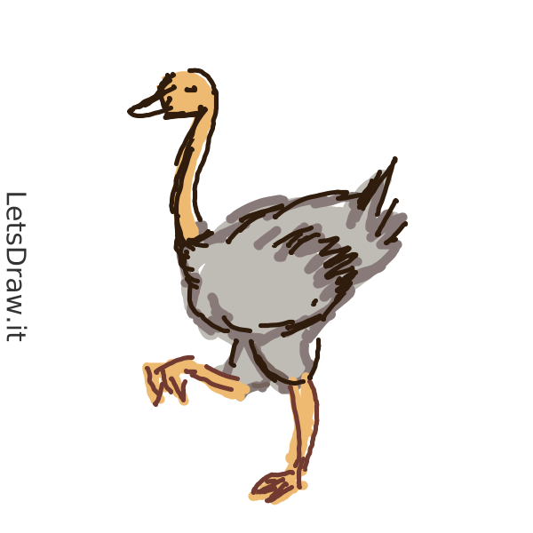Easy How to Draw an Ostrich Tutorial and Ostrich Coloring Page