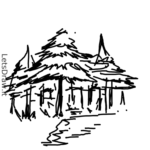 How to draw black forest / rqg5e7wig.png / LetsDrawIt