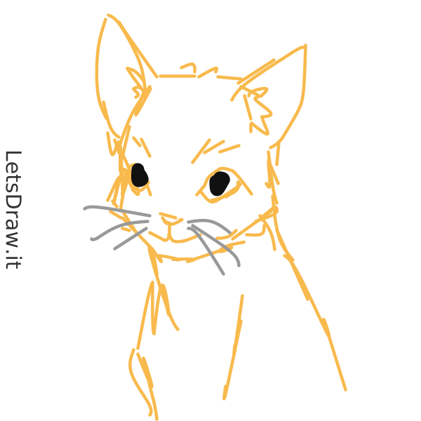 How to draw cat whiskers / rxuxmktti.png / LetsDrawIt