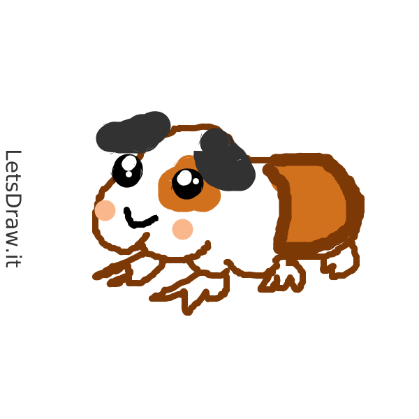 How to draw guinea-pig / rymitjkqo.png / LetsDrawIt