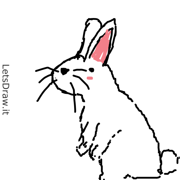 Drawing Rabbit Character How to draw rabbit / ryz6qec6c.png / LetsDrawIt
