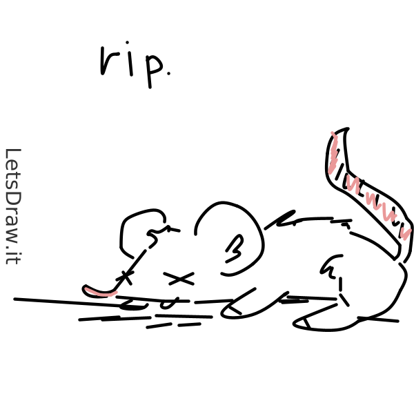 How to draw dead rat / s5gffkw3d.png / LetsDrawIt