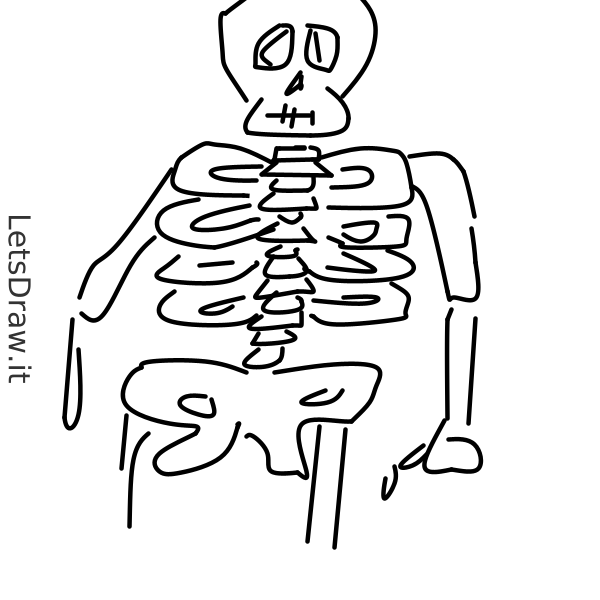 How to draw skeleton / saqcqxsi.png / LetsDrawIt