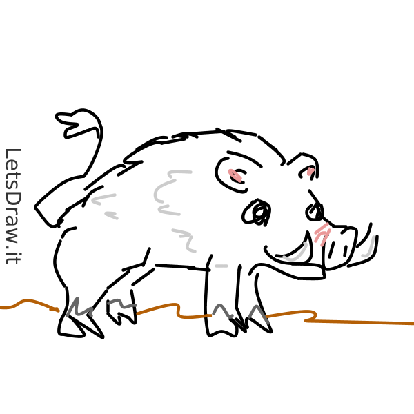 How to draw boar / secywyxh.png / LetsDrawIt