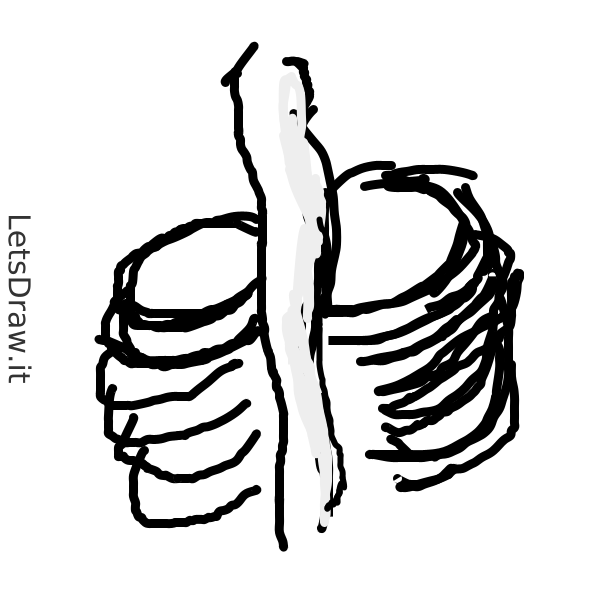 How to draw ribs / sh19wk1jm.png / LetsDrawIt