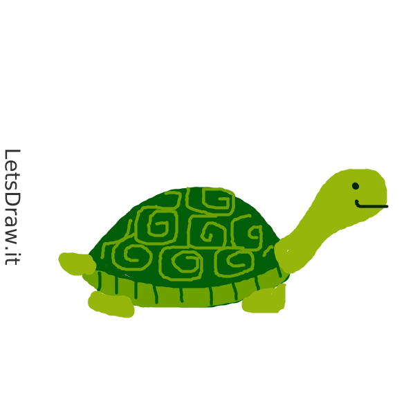 How to draw turtles / shyxq5pge.png / LetsDrawIt