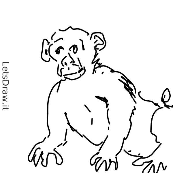 How to draw monkey / skmdb3omn.png / LetsDrawIt