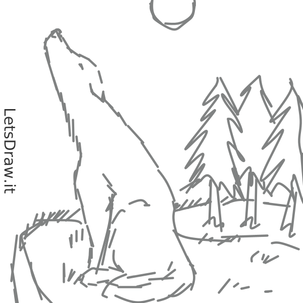 How to draw wolf / snwgr6ugz.png / LetsDrawIt