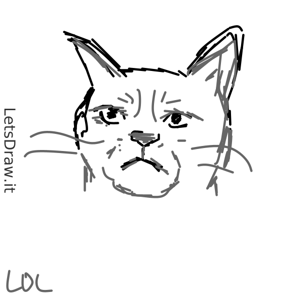 How to draw grumpy cat / swgy8ahuc.png / LetsDrawIt