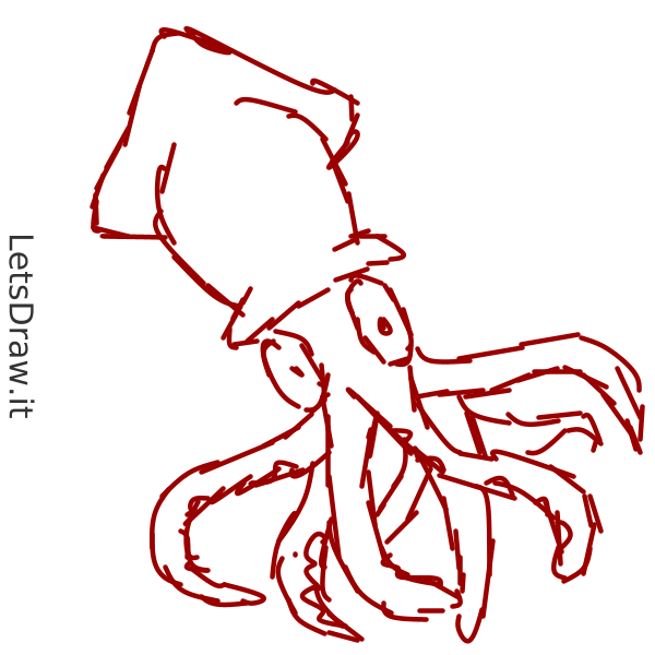 how to draw a giant squid