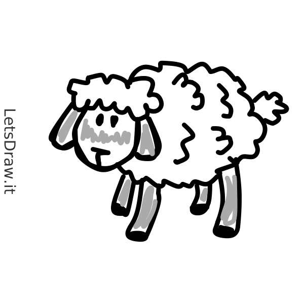 How to draw Lamb / tdnxm66hy.png / LetsDrawIt