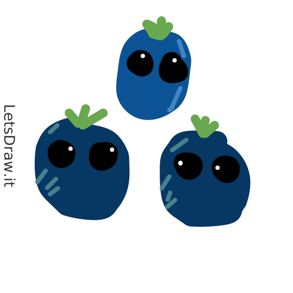 How to draw blueberries / te9pg4ify.png / LetsDrawIt