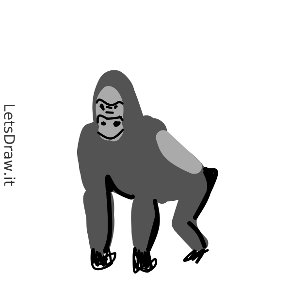 How to draw gorilla / teh4jd3we.png / LetsDrawIt