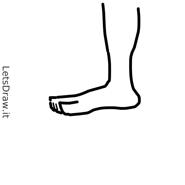 How to draw foot / tt51ft8jf.png / LetsDrawIt