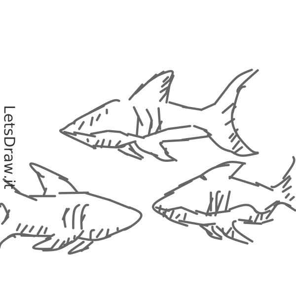 How to draw Sharks / tzxfgxemf.png / LetsDrawIt