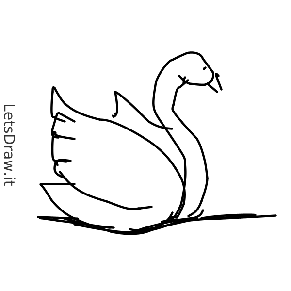 How to draw swan / u4szdgne4.png / LetsDrawIt