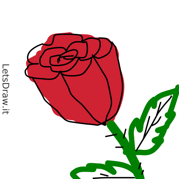 How to draw rose / uropdmeps.png / LetsDrawIt