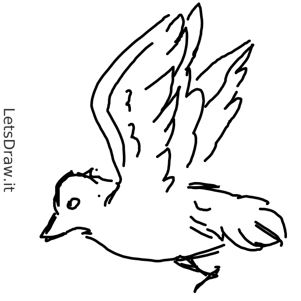 How to draw bird / w7fnbmz77.png / LetsDrawIt
