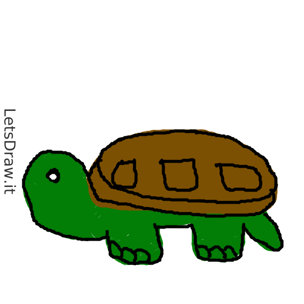 How to draw turtles / wa46o4gsn.png / LetsDrawIt