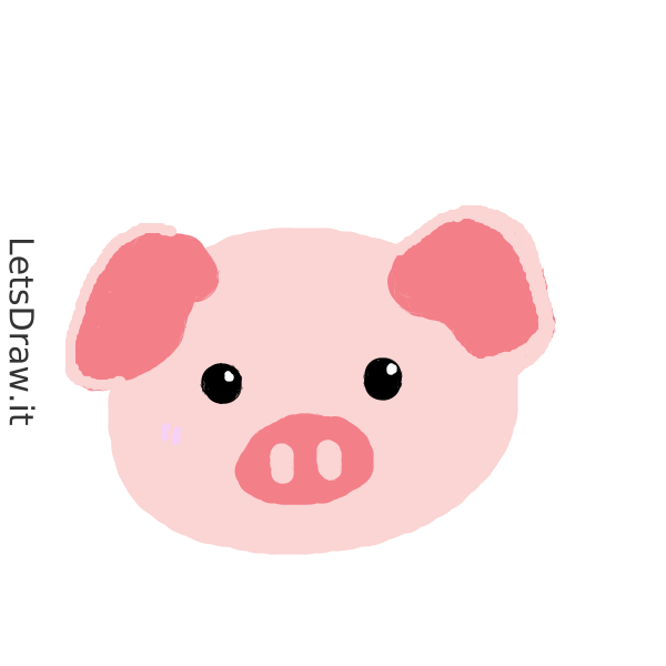 How to draw swine / LetsDrawIt