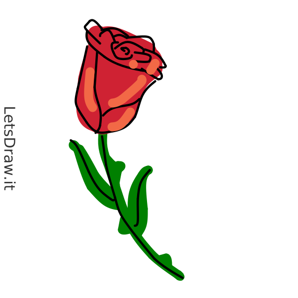 How to draw roses / LetsDrawIt