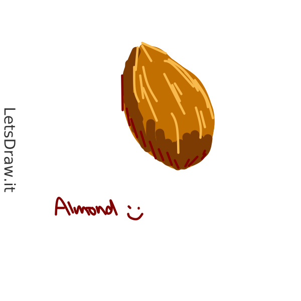 How to draw almond / wmf8mfo8u.png / LetsDrawIt