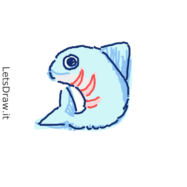 How to draw shark / wnq4tibb1.png / LetsDrawIt