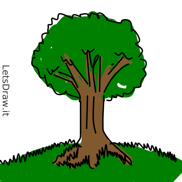 How to draw tree / wot5bh3m4.png / LetsDrawIt