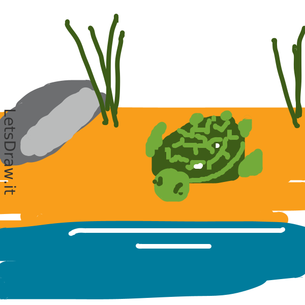 How to draw turtles / wpektc1dr.png / LetsDrawIt